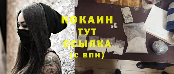мет Ельня