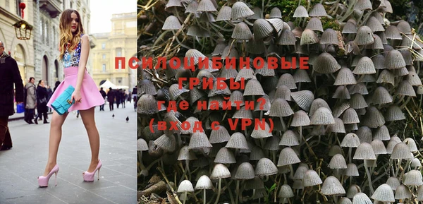 гидропоника Фёдоровский
